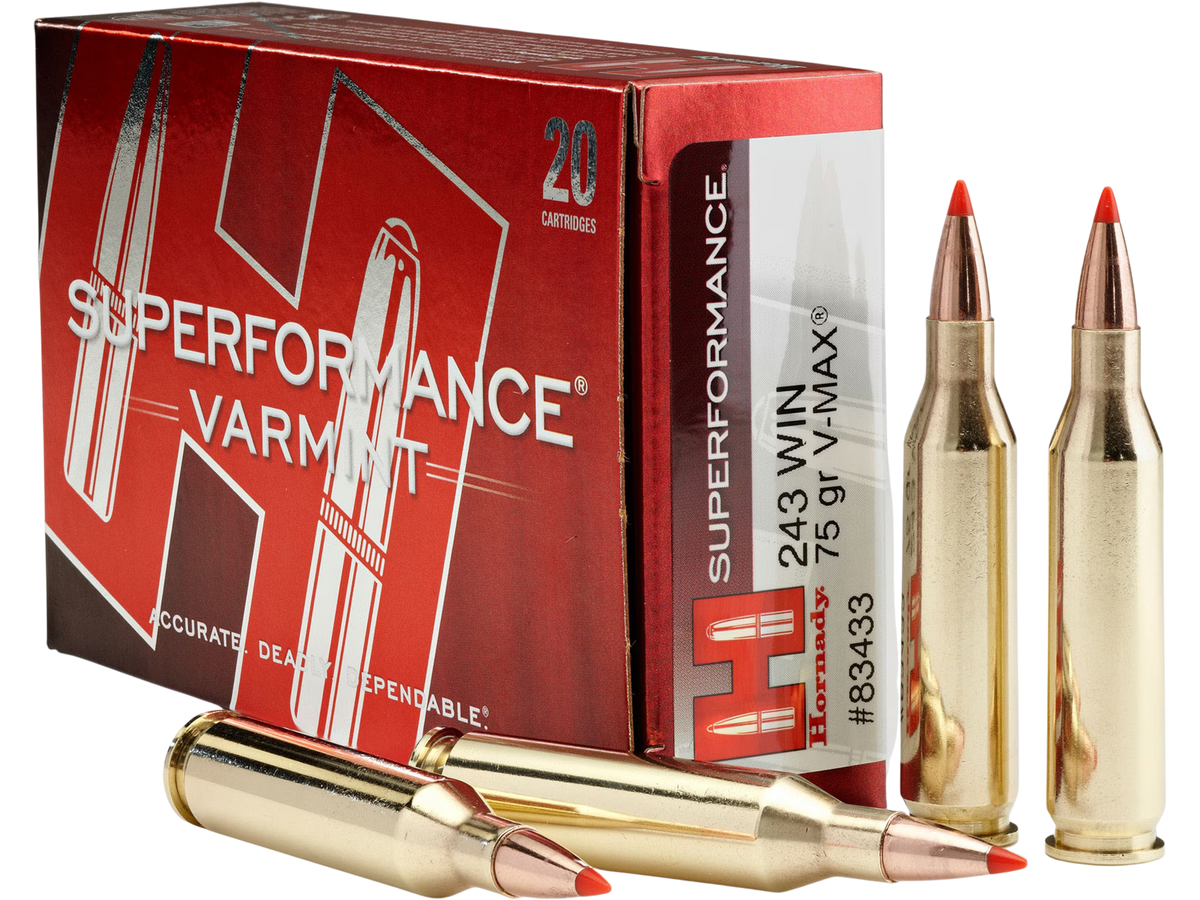 Hornady Superformance 243 WSSM 75gr V-Max - Box or Case