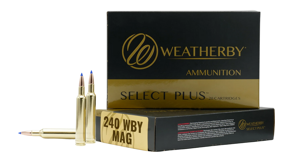 Weatherby Select Plus 240 Weatherby Magnum 72gr Hammer Custom 20-Rd - Box or Case