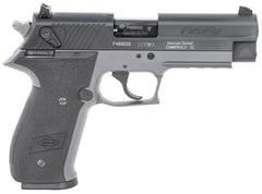 Shop the GSG FireFly 22 LR Semi-Auto Pistol with a 4” barrel and 10-round capacity. Features black serrated slide, smoke zinc alloy frame with accessory rail, adjustable sights, and ambidextrous safety—ideal for target practice and training.