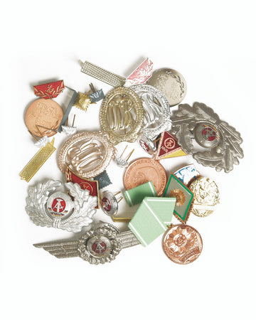 East German Metal Insignia Assortment (50 Piece) - New