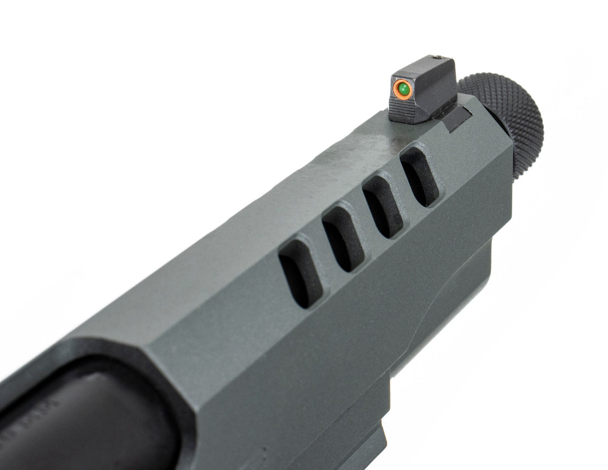 Tisas 1911 Night Stalker SF Platinum Grey 10mm