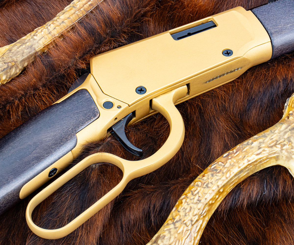 Rossi Rio Bravo 22LR 18" Polished Black Barrel Gold Finish Receiver Hardwood Stock