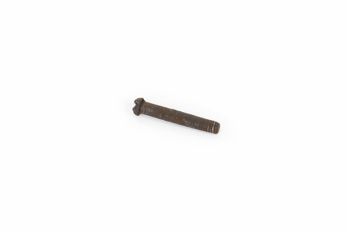 Enfield Rear Trigger Guard Screw - 4 Pack