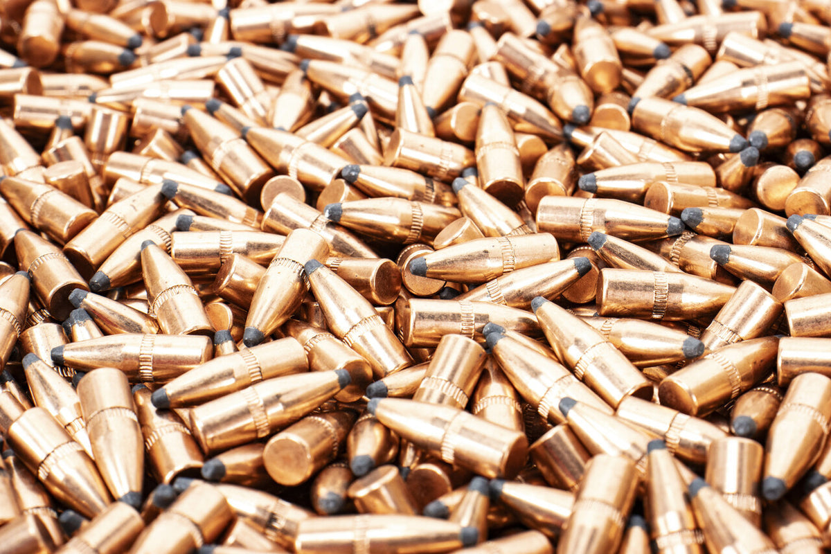 Hornady .22 Cal 55gr Soft Point - 6000rd Case