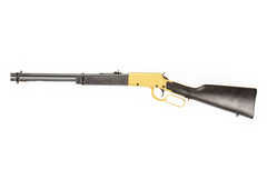 Rossi Rio Bravo 22LR 18" Polished Black Barrel Gold Finish Receiver Hardwood Stock