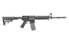Del-Ton Inc Echo 316 5.56x45mm / .223 Rem AR-15  16 Black Hard Coat Anodized 5 Position M4 Stock Black Polymer Grip