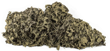 Swedish Military Camo Net, 13.5 ft x 15.5 ft – Surplus