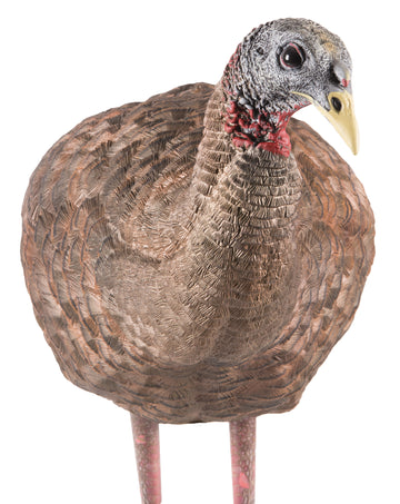 Avian X LCD Breeder Hen Turkey Decoy - Multi-Color Dura-Rubber