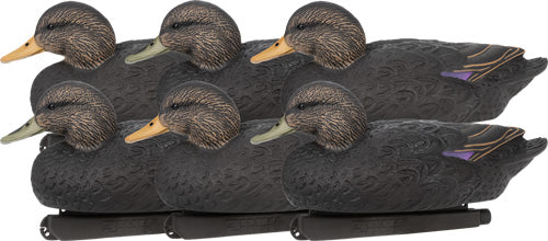 ZINK Black Duck Floater Decoys 6-Pack Life-Size Synthetic