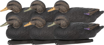ZINK Black Duck Floater Decoys 6-Pack Life-Size Synthetic