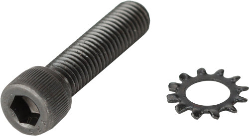 Advanced Technology AR-15 Pistol Grip Screw and Star Lock Washer