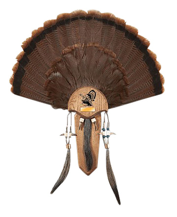 Hunters Specialties HS Strut Turkey Tail & Three Beard Mounting Kit