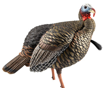 Avian X HDR Jake Turkey Decoy - Quarter-Strut with 2 Removable Heads