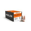 Nosler Ballistic Tip Varmint 22 Cal .224 40gr Polymer Tip - 250ct