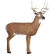 GlenDel 3D Buck 48" Archery Target w/4-Sided Insert - Broadhead Rated