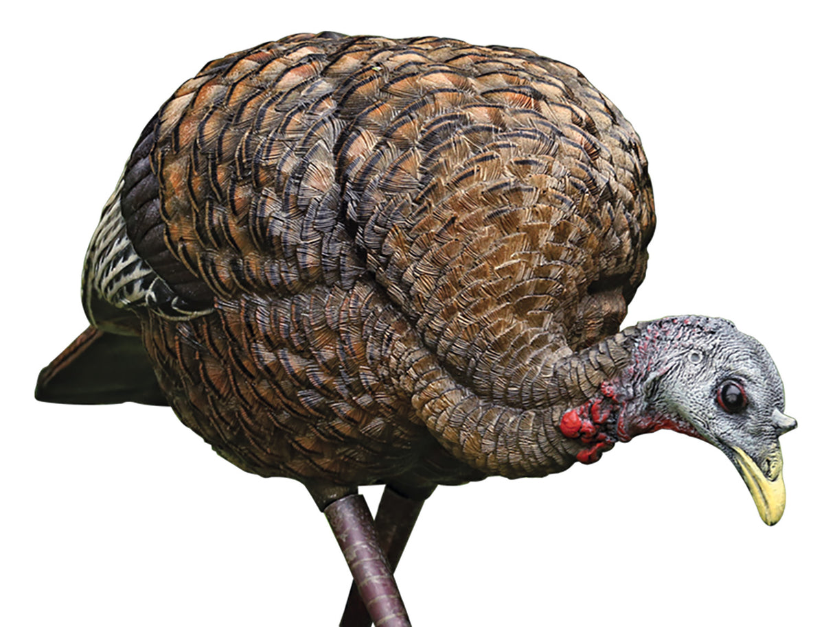 Avian X LCD Feeder Hen Turkey Decoy - Lifelike Collapsible