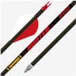 Gold Tip Hunter 340 Carbon Arrow 32" 2" Raptor Vanes 6-Pack