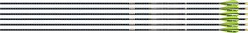 Easton 4mm EMJ Match Grade 340 Carbon Arrows 6-Pack w/ 3" AAE Hybrid Vanes