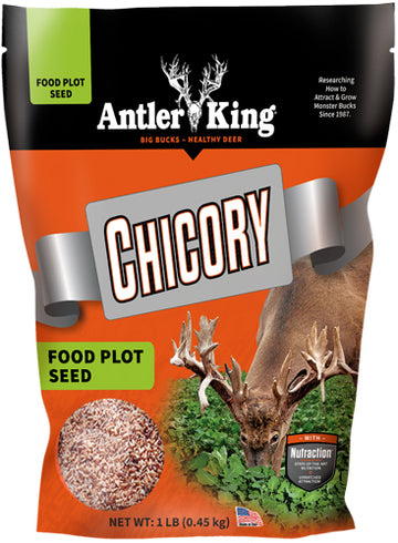 Antler King Chicory 1 lb Perennial Deer Food Plot Seed - 1/4 Acre