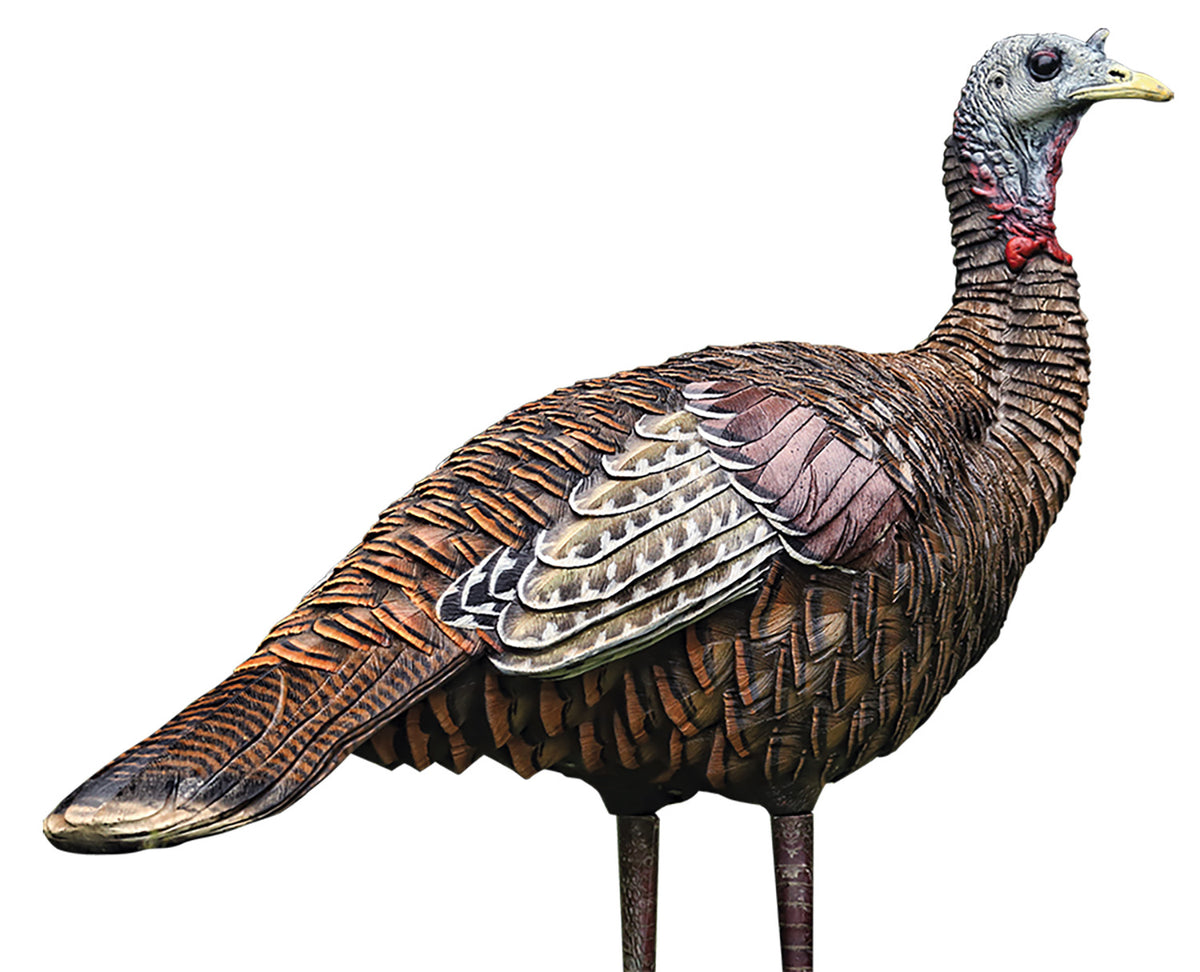 Avian X LCD Lookout Hen Turkey Decoy Multi-Color Dura-Rubber