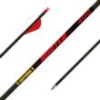 Gold Tip Hunter 400 Carbon Arrows 32" 2" Raptor Vanes 6-Pack