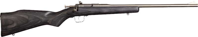 Chipmunk 10003 22 LR 16.10" Single-Shot Bolt Action Rifle - Stainless Barrel, Black Laminate Stock