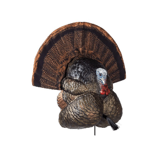Flextone Decoys Thunder Creeper Strutter Turkey Decoy w/ Folding Fan
