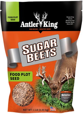 Antler King Sugar Beets 1 lb Annual Food Plot Seed 1/8 Acre