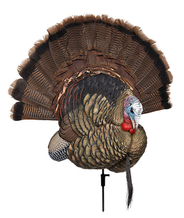 Avian X Trophy Tom Turkey Decoy Wall Display Multi-Color