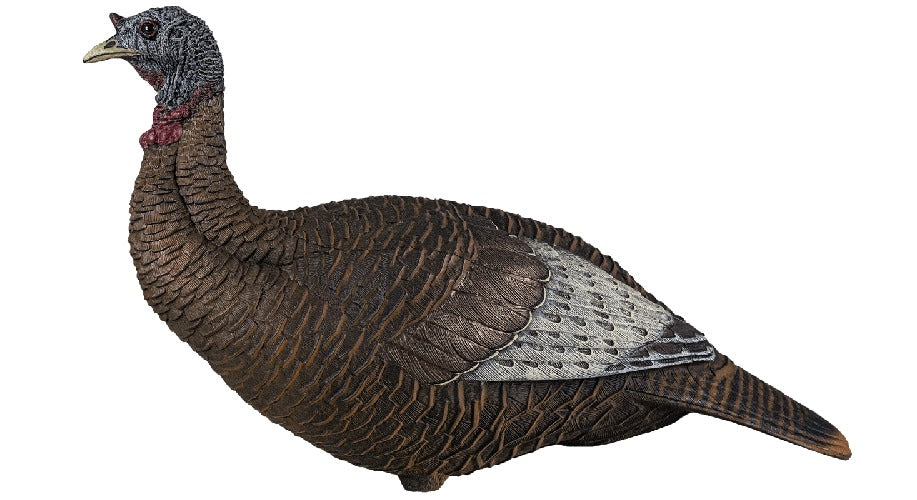 Flextone Thunder Chick Upright Hen Turkey Decoy w/ Stake