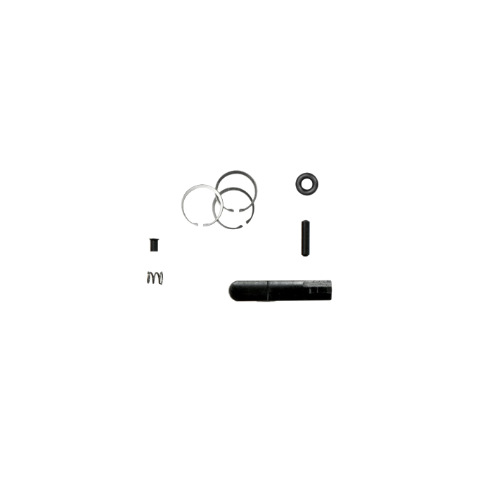 DoubleStar AR Bolt Rebuild Kit