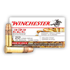 Winchester Ammo 22LR222HP USA  22 LR 36 gr Copper Plated Hollow Point (CPHP) CAN 222 Bx/ 10 Cs