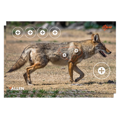 EZ-Aim Four Color Coyote Paper Hanging Target 23" x 35" 2-Pack