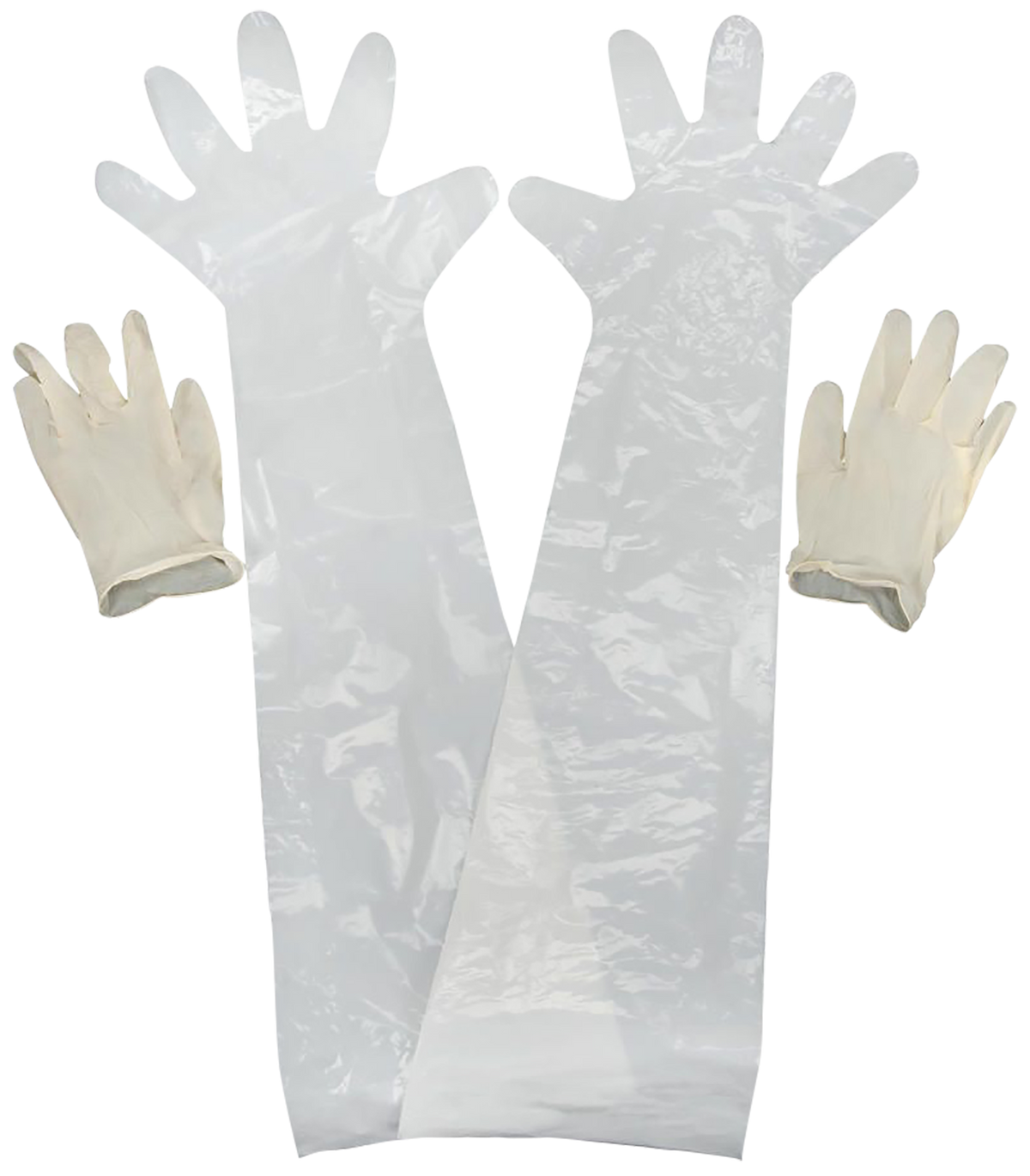 Allen 51 Field Dressing Clear Shoulder/Wrist Latex Glove 2-Pack