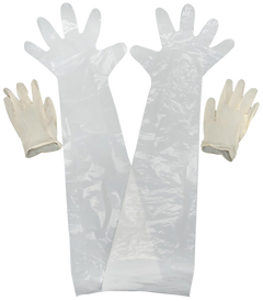 Allen 51 Field Dressing Clear Shoulder/Wrist Latex Glove 2-Pack