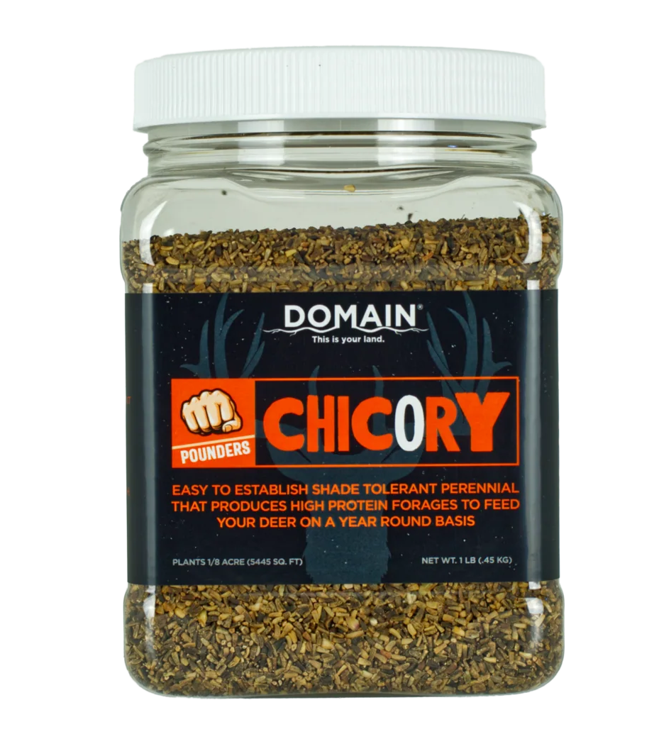 Domain Outdoor Pounder Chicory Food Plot Seed - 1 lb Jug