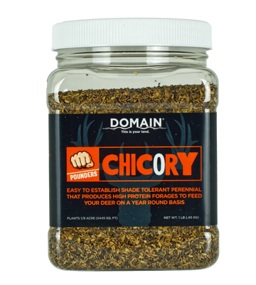 Domain Outdoor Pounder Chicory Food Plot Seed - 1 lb Jug