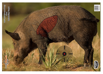 Birchwood Casey 35408 Pregame Boar Paper Target 16.5" x 24" 3 Per Pack Hanging