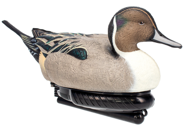 Avian X Power Swimmer Pintail Drake Motion Duck Decoy