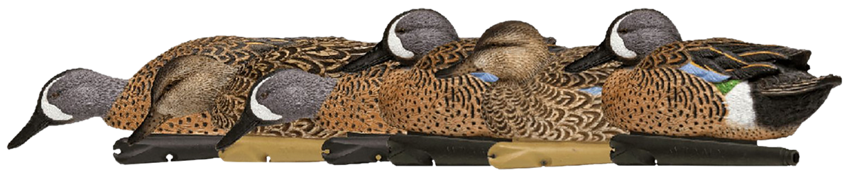 Avian X Topflight Blue-Winged Teal 10" Floating Duck Decoys 6-Pack