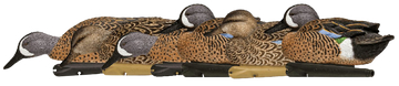 Avian X Topflight Blue-Winged Teal 10" Floating Duck Decoys 6-Pack