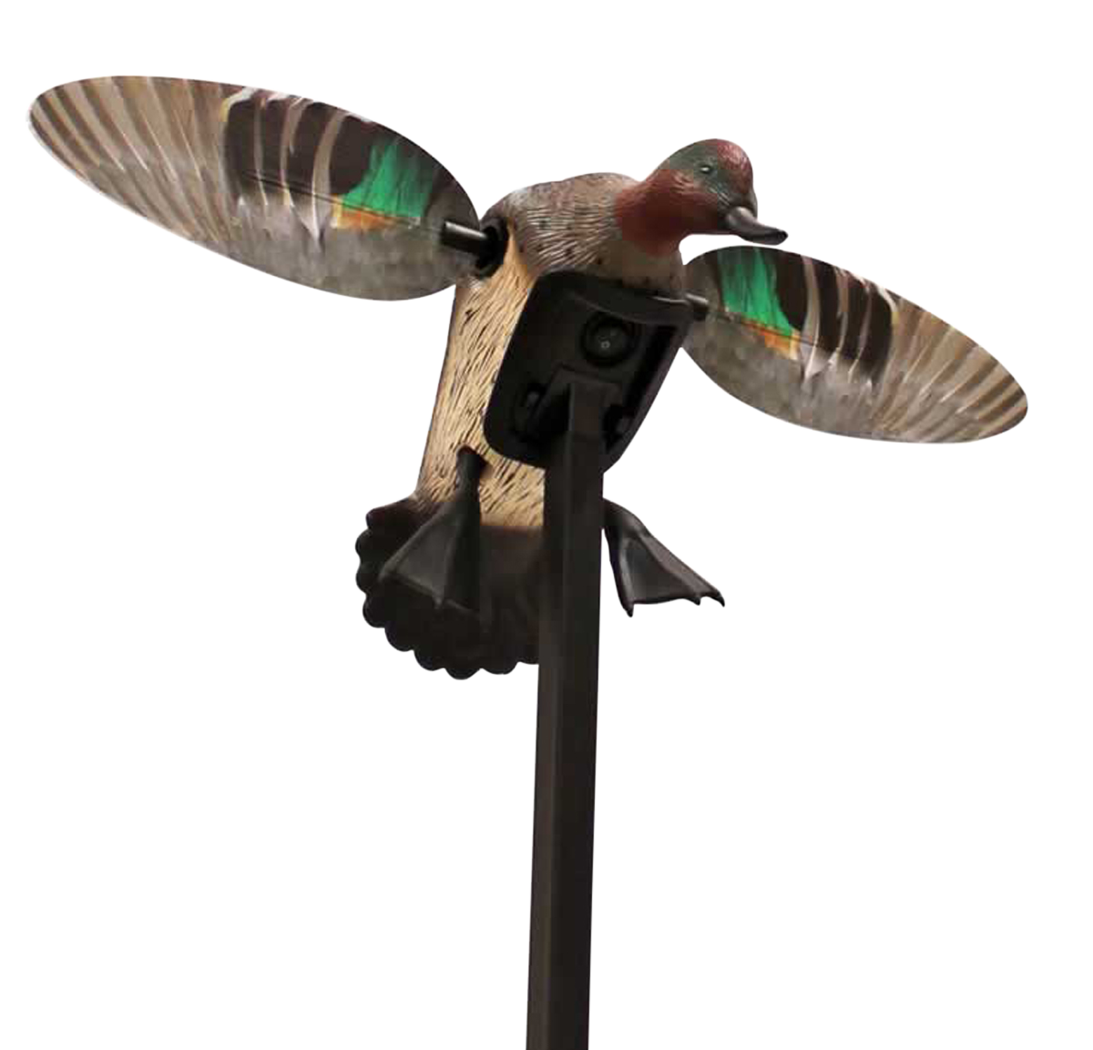 Mojo Outdoors Elite Series Green Winged Teal Spinning Wing Duck Motion Decoy - Natural Molded Plastic - Remote Compatible