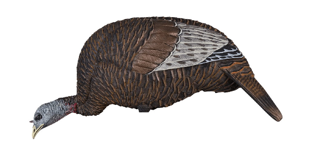 Avian X Flextone Thunder Chick Feeder Hen Turkey Decoy