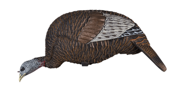 Avian X Flextone Thunder Chick Feeder Hen Turkey Decoy
