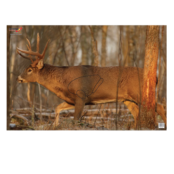 Birchwood Casey EZE-Scorer Whitetail Deer Paper Hanging Target 23" x 35" Multi-Color 2-Pack