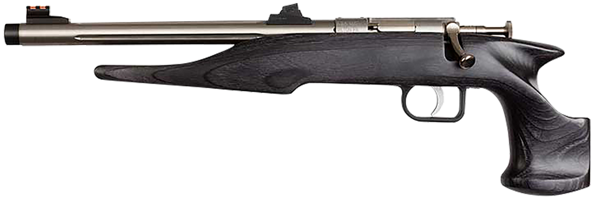 Chipmunk 40103 Hunter Youth Frame 22 LR 9" Single-Shot Bolt Action Pistol - Threaded Stainless Barrel, Black Laminate Frame