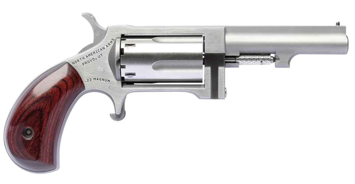North American Arms SW250 Sidewinder 22 WMR 2.5" 5-Shot SAO Revolver