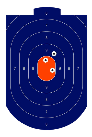 Birchwood Casey Dirty Bird Silhouette Tagboard Target 12" x 18" 100-Pkg
