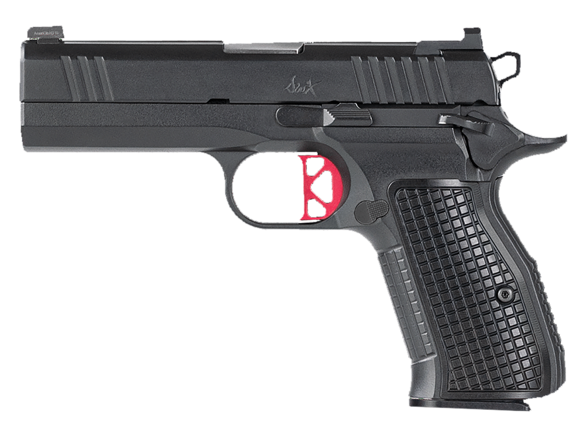 Dan Wesson DWX Compact 9mm Luger 4" 15+1 Semi-Auto Pistol