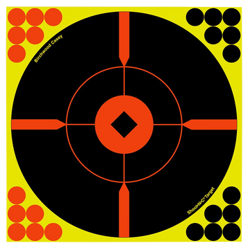 Birchwood Casey Shoot-N-C 8" Bullseye BMW Reactive Paper Target 50-Pack